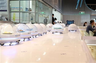 常德晚報多媒體數字報刊平臺的展覽服務